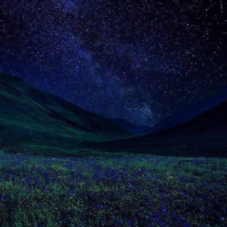 Stars Download Wallpapers