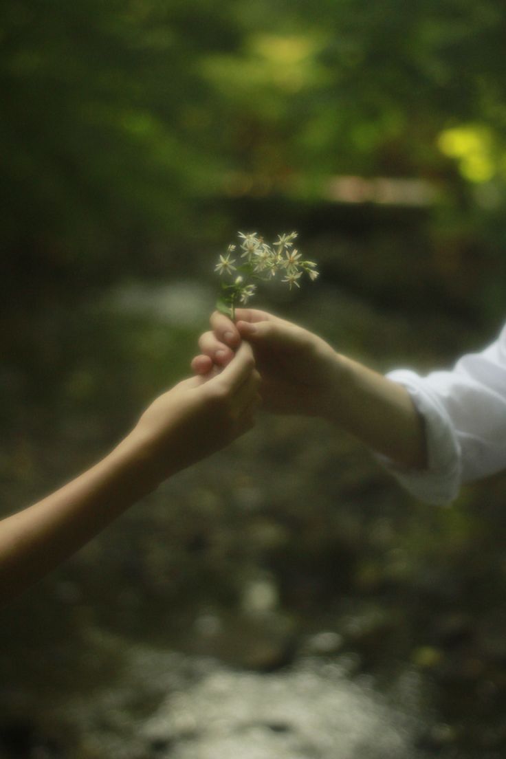Love Download Wallpapers
