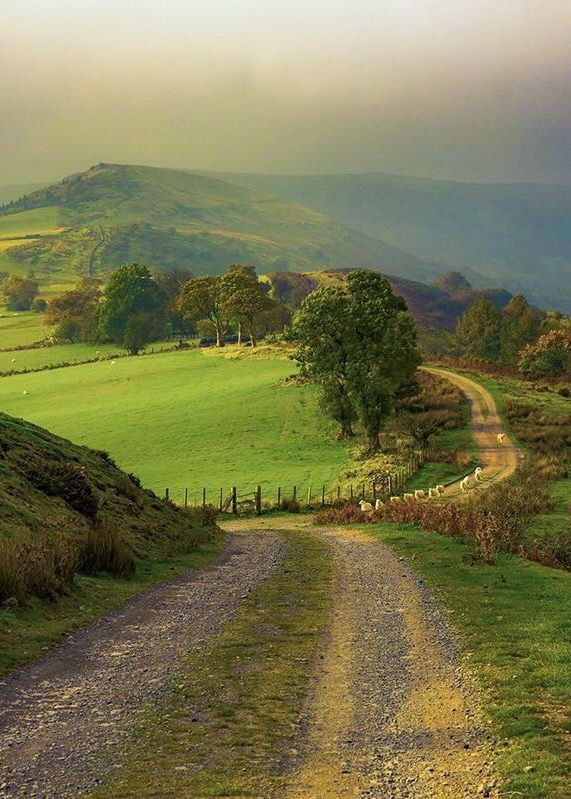 Road Download Wallpapers