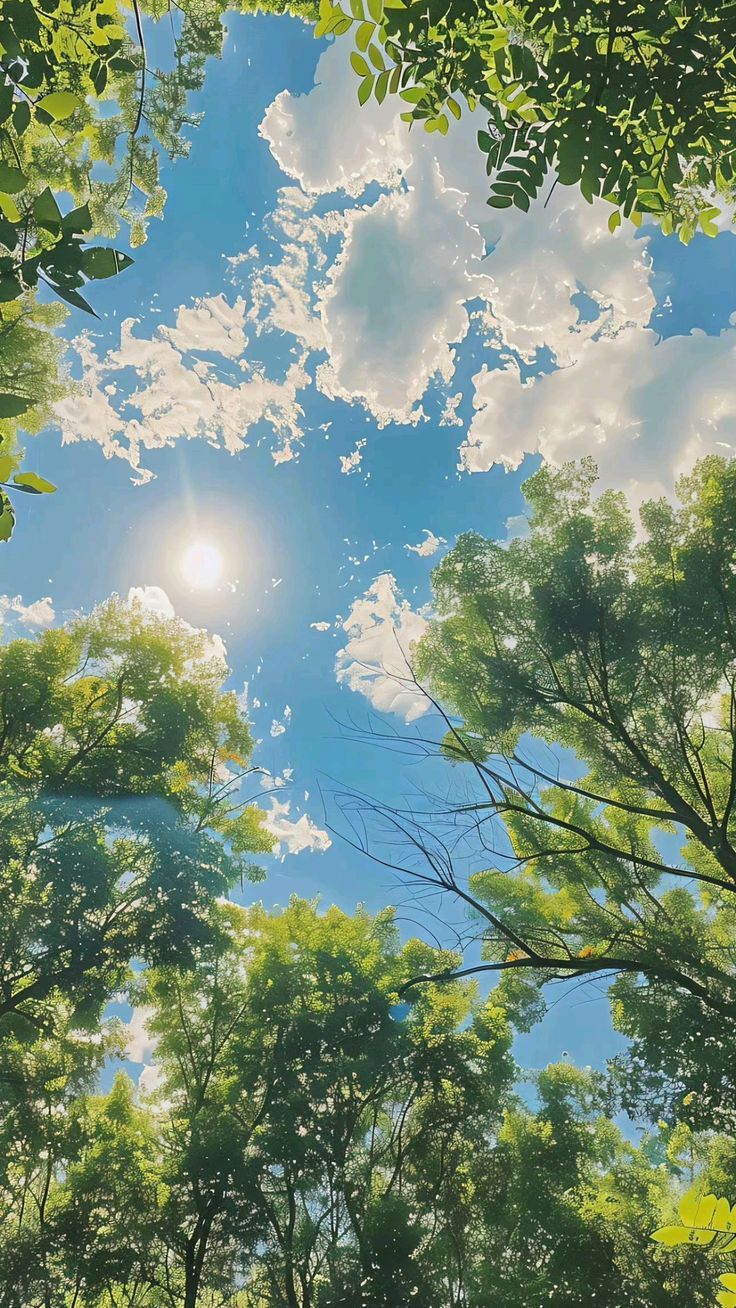Sky Download Wallpapers