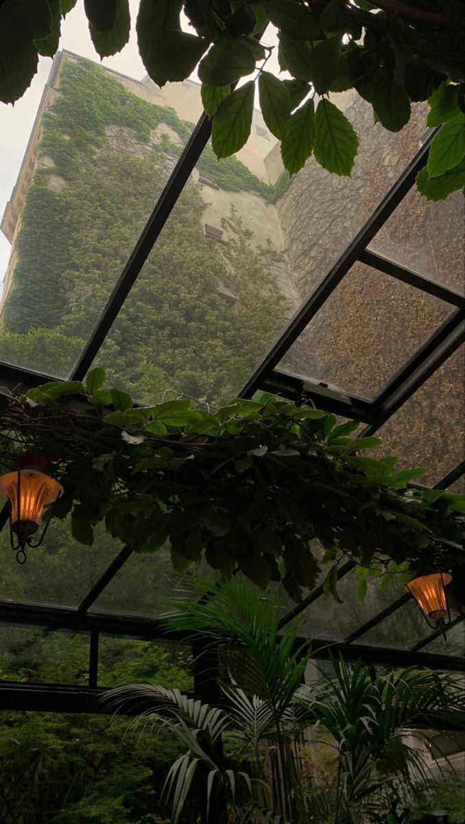 Ceiling Grass Download Wallpapers