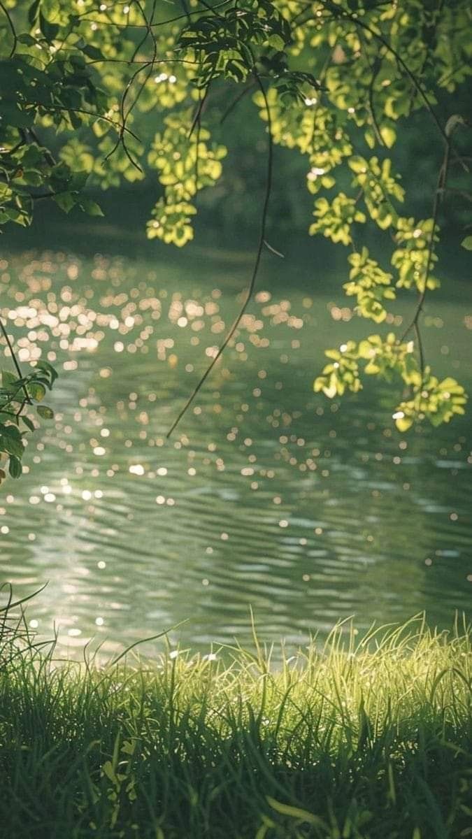 Lake Download Wallpapers