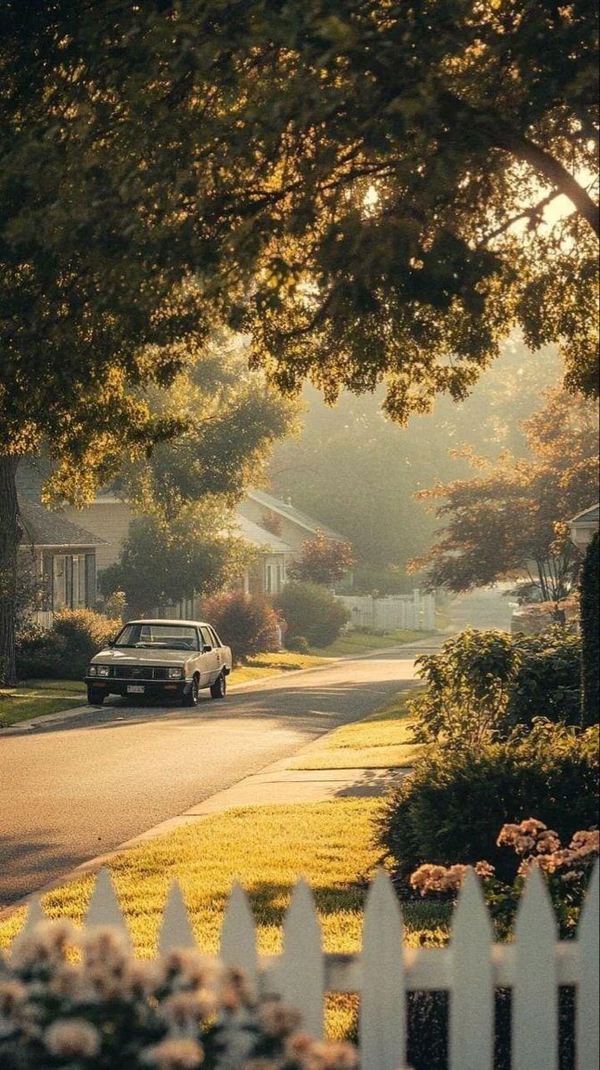 Drive through Download Wallpapers