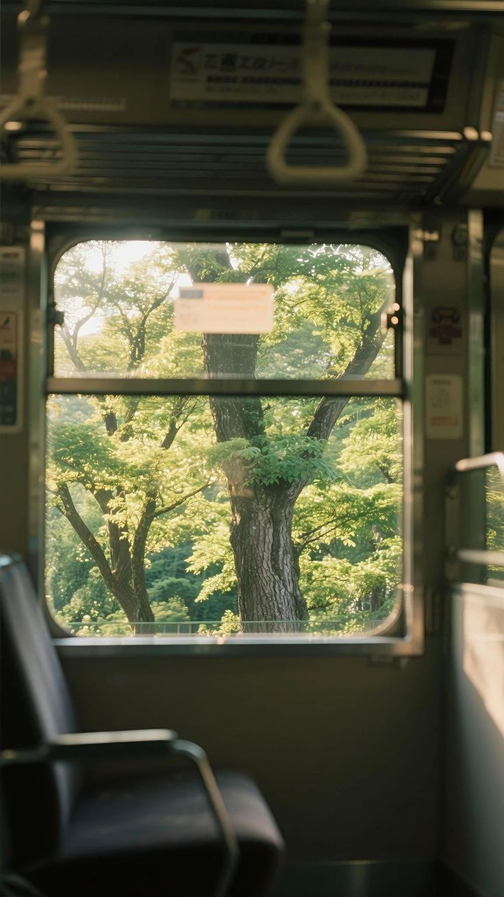 Tree Download Wallpapers