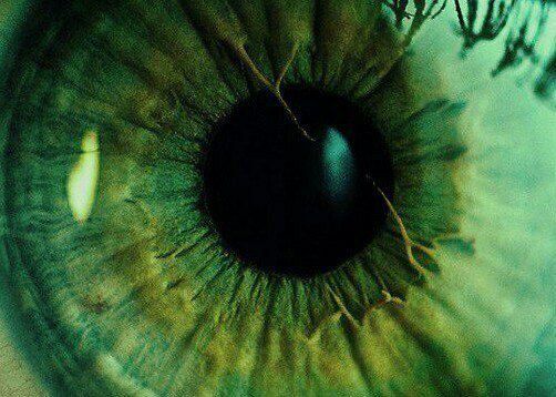 Eye Download Wallpapers