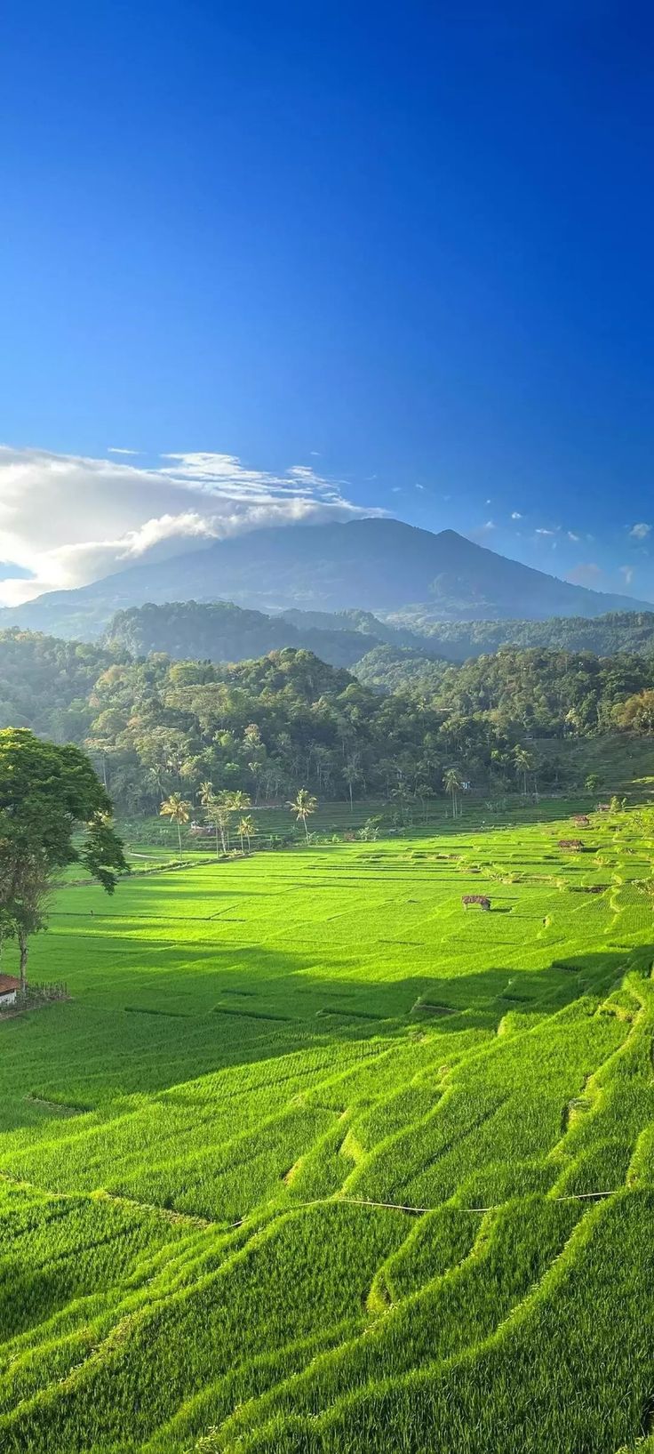 Mountain Download Wallpapers