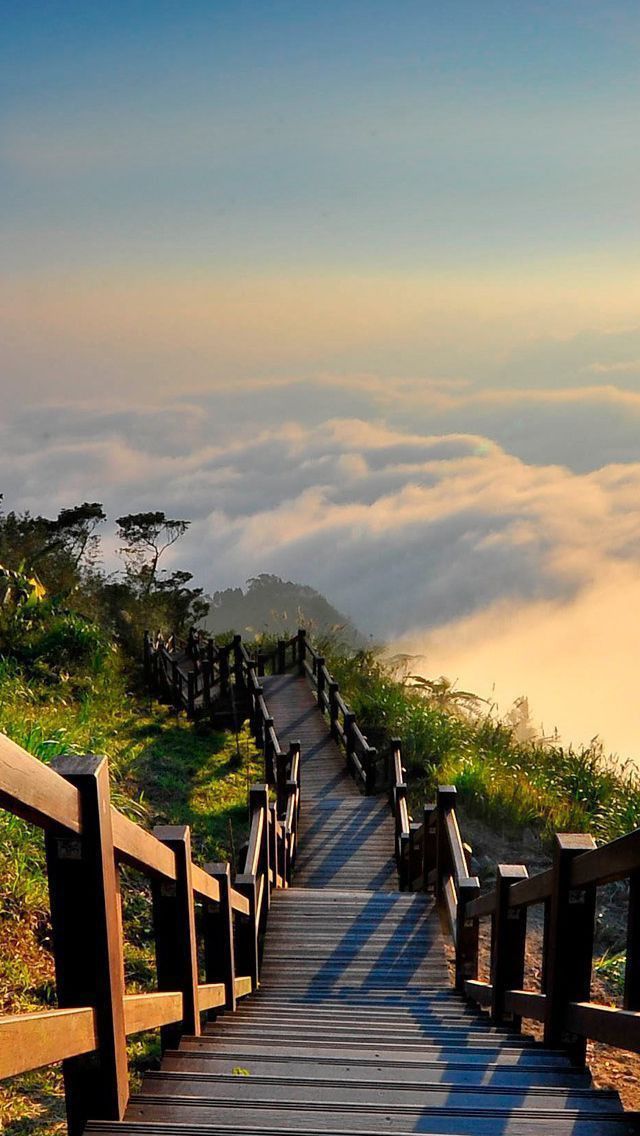 Bridge Download Wallpapers