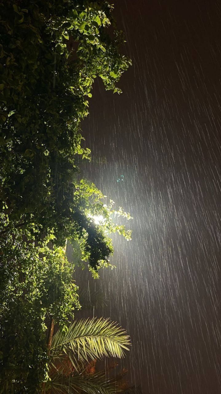 Rainy day Download Wallpapers