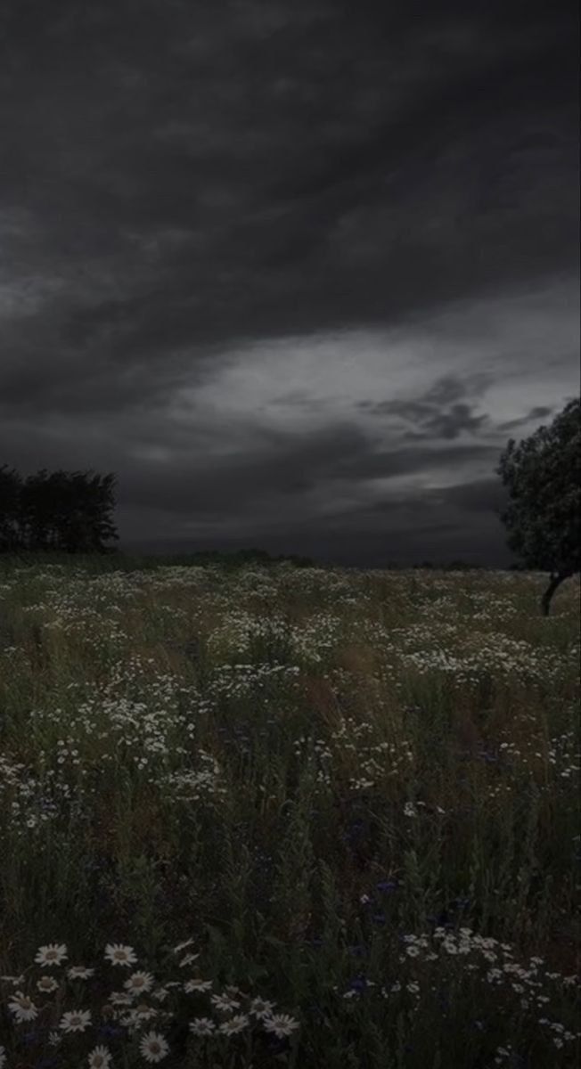 Night field Download Wallpapers