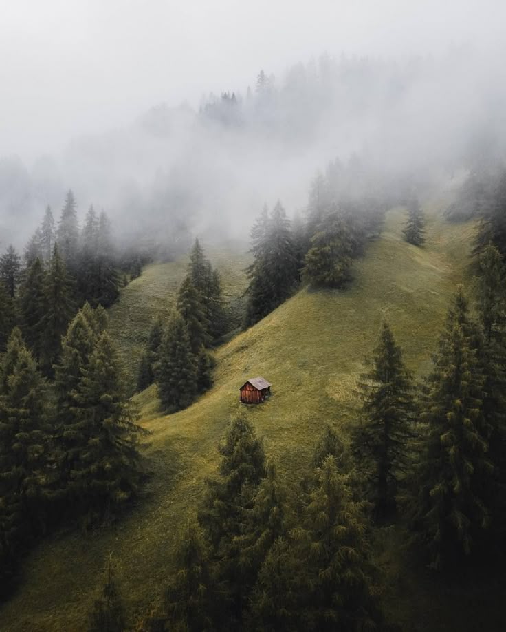 Cabin in the woods Download Wallpapers