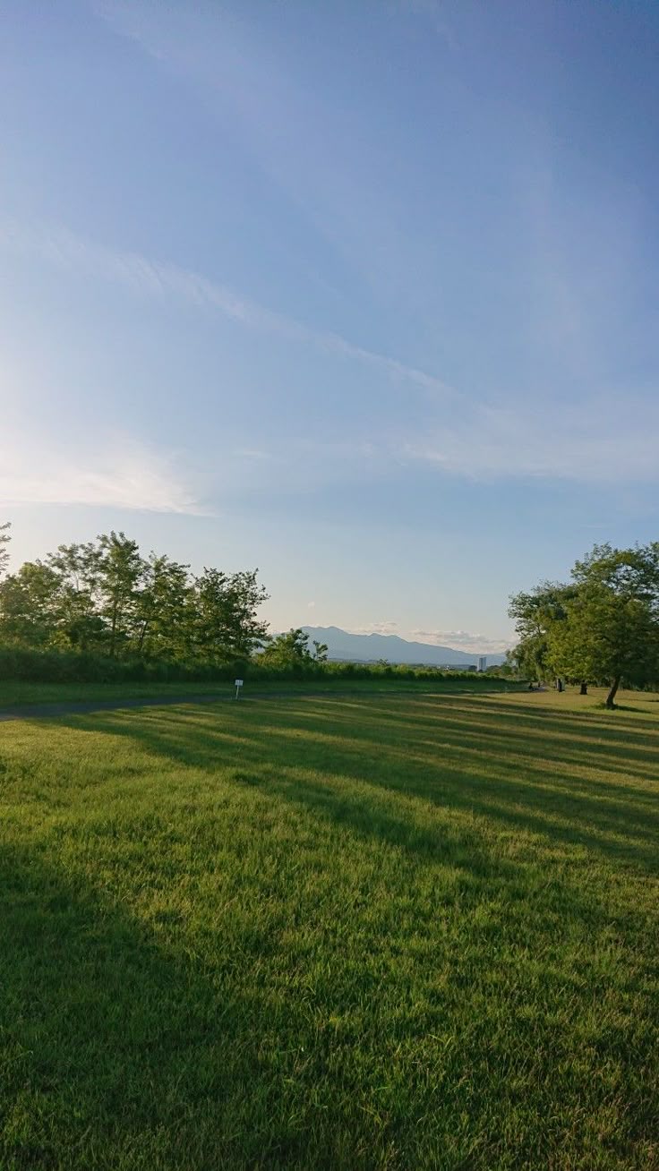 Grassland Download Wallpapers