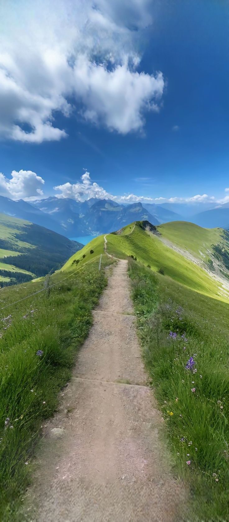 Field Download Wallpapers
