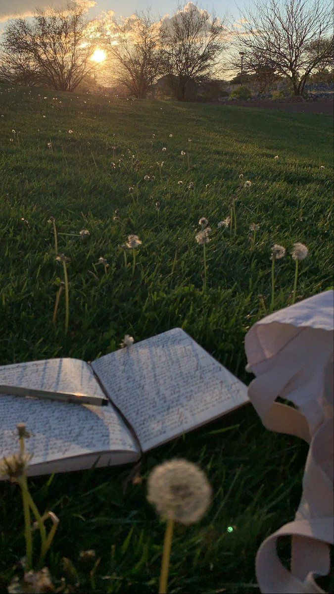 Picnic Download Wallpapers