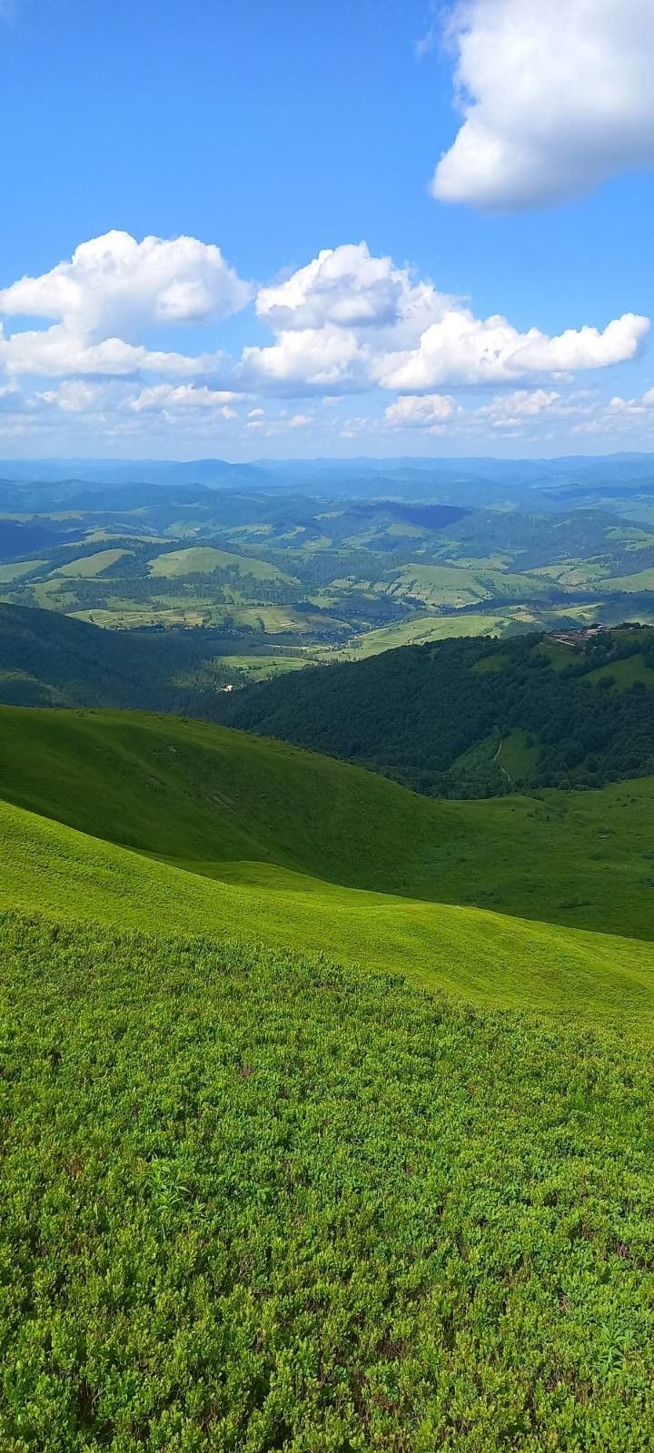 Grassland Download Wallpapers