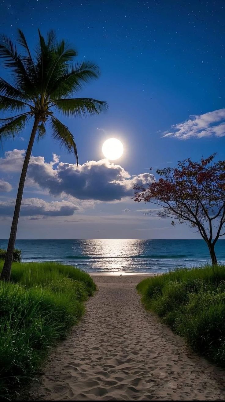Beach Download Wallpapers