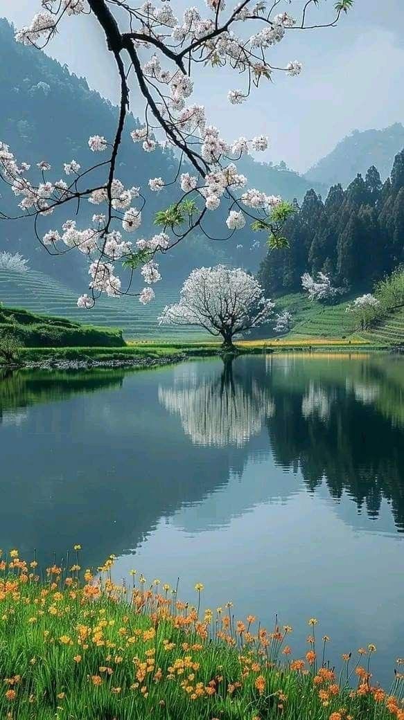 Lake Download Wallpapers