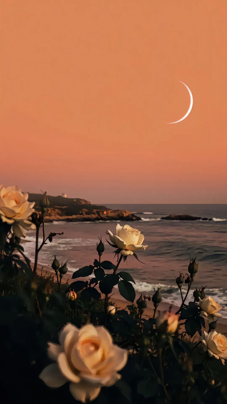 Flowers by the besch Download Wallpapers