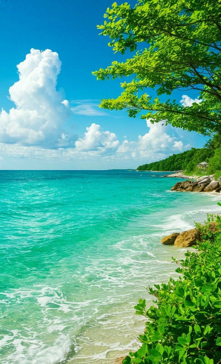 Ocean Download Wallpapers