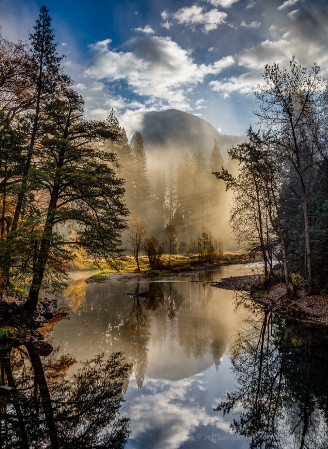 Forest Download Wallpapers