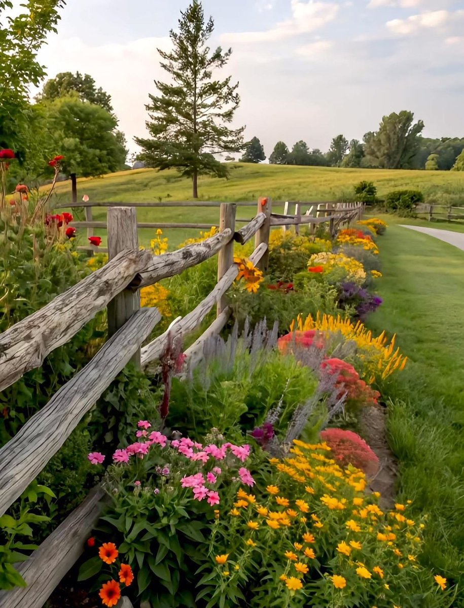 Flowers Download Wallpapers