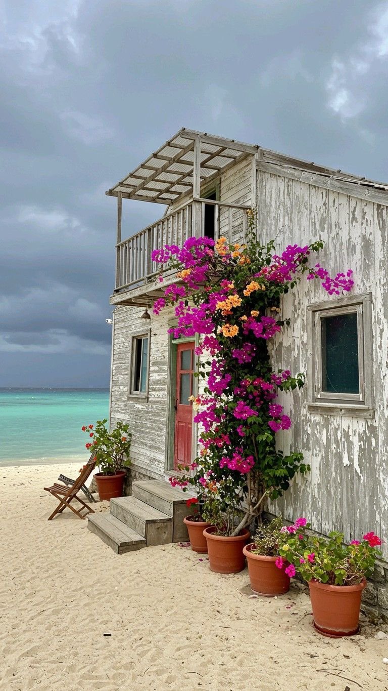 Flower on a house Download Wallpapers