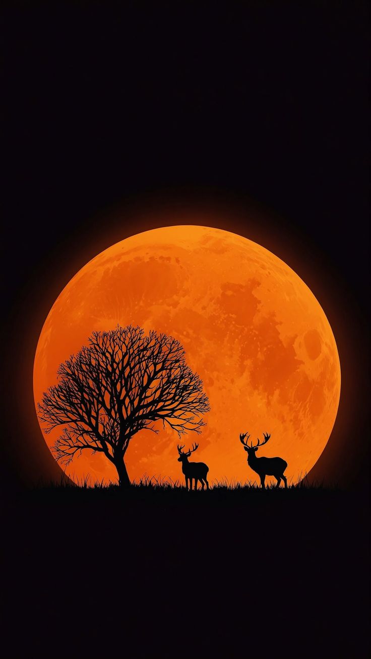 Dear in the sunset Download Wallpapers