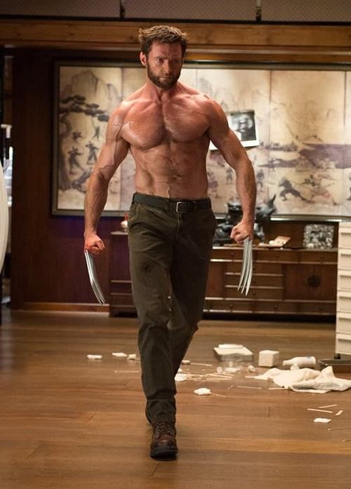Wolverine Download Wallpapers