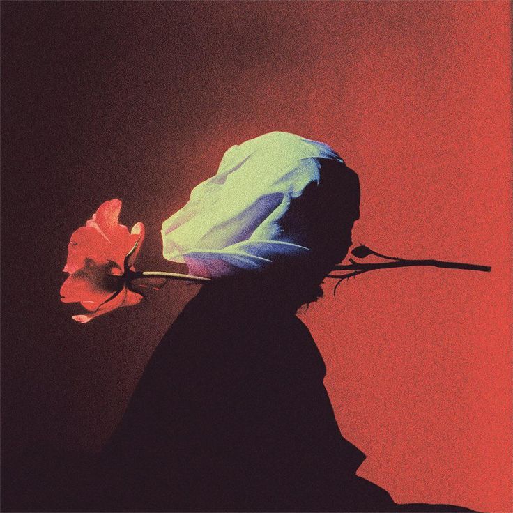 Rose Download Wallpapers