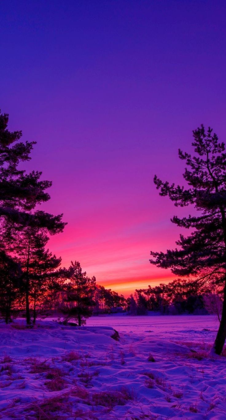 Sunset Download Wallpapers