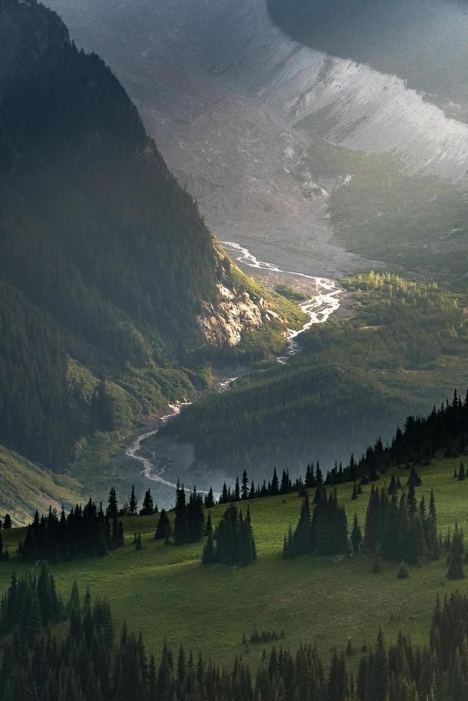 Mountain Forest Download Wallpapers