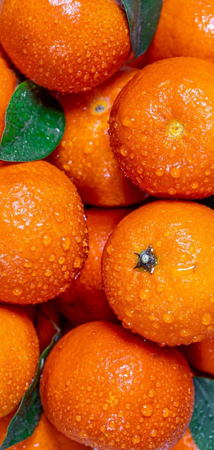 Orange Download Wallpapers