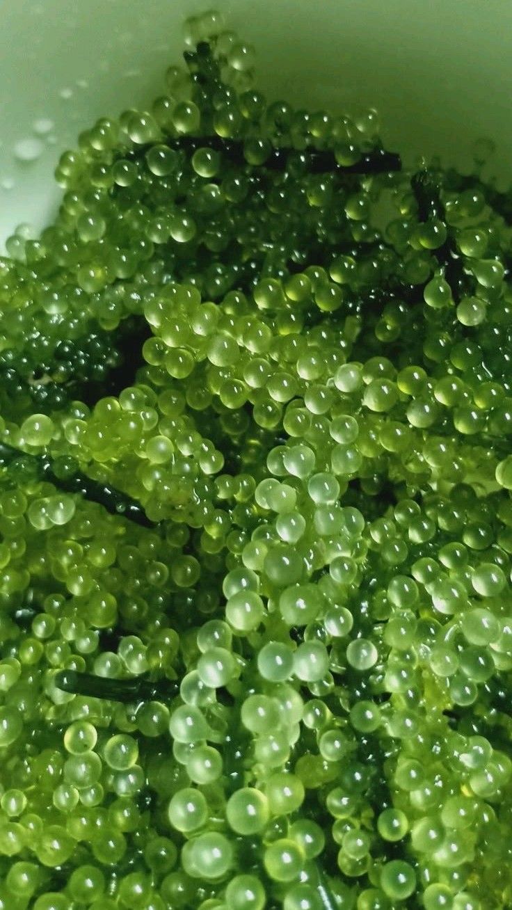 Bubbles Download Wallpapers