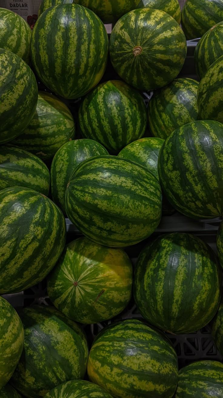 Watermelon 🍉 Download Wallpapers