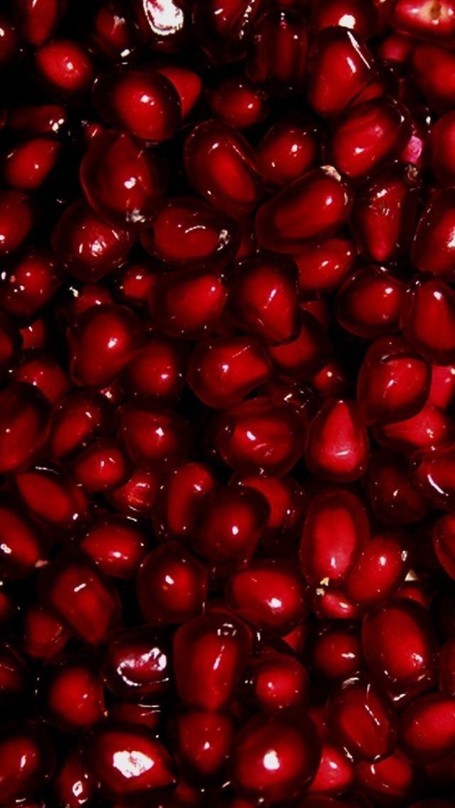Palm Kernel Download Wallpapers