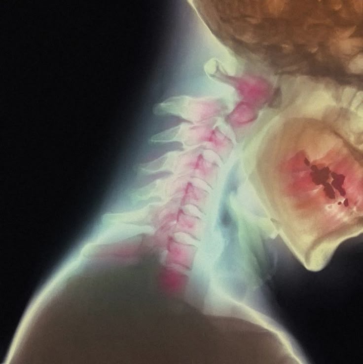 Skeleton Download Wallpapers