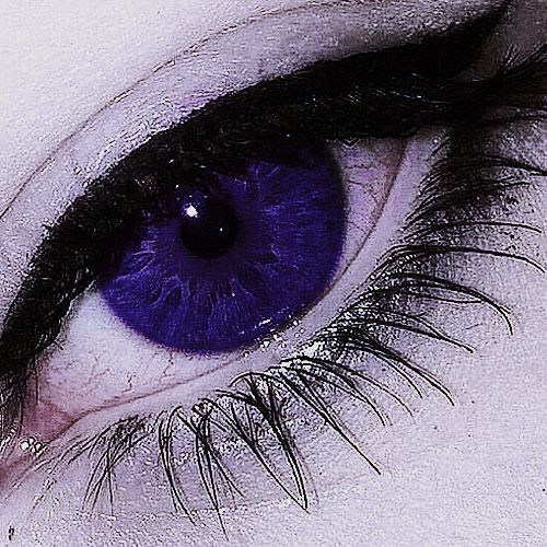 Eye Download Wallpapers