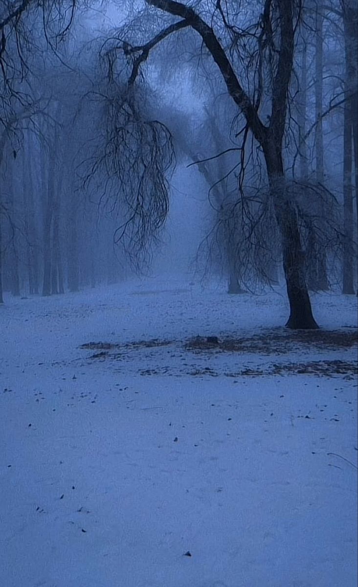 Winter Download Wallpapers