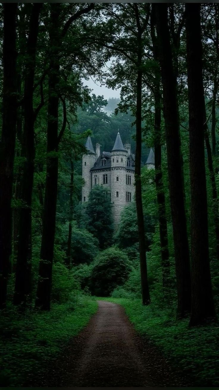 Castle Download Wallpapers