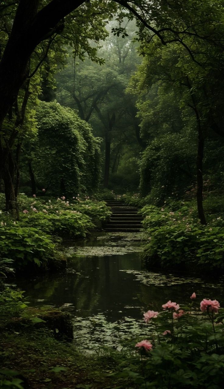 Forest Download Wallpapers