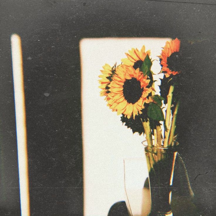 Flower Download Wallpapers