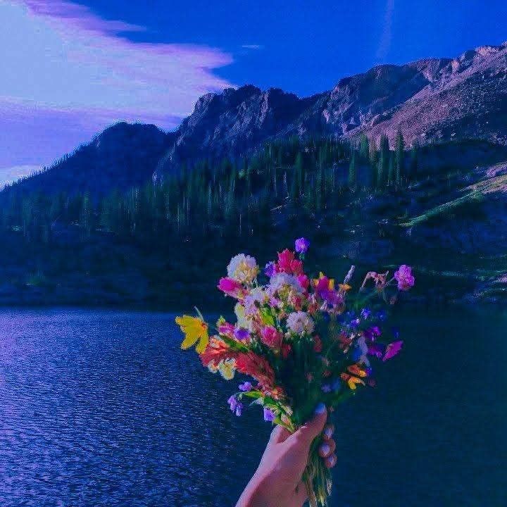 Flower Download Wallpapers