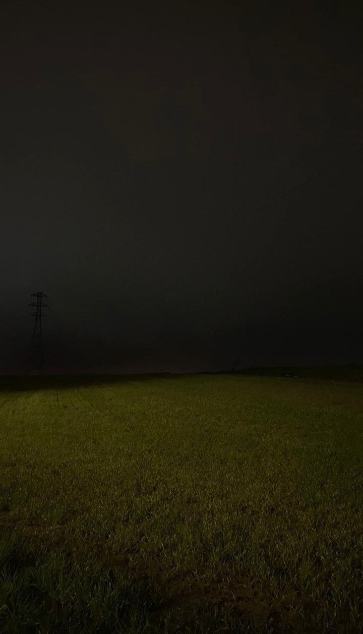 Field Download Wallpapers