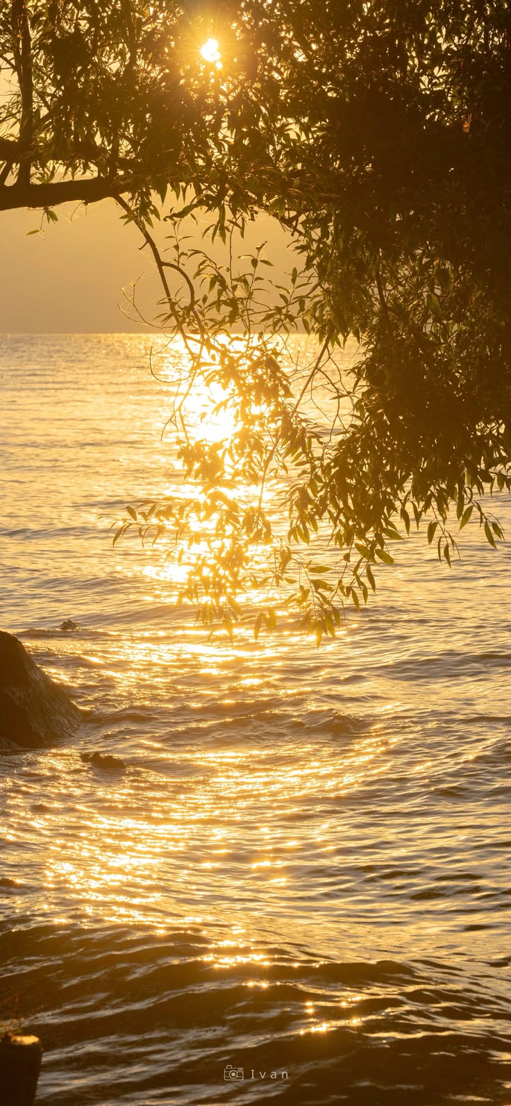 Sunset Download Wallpapers