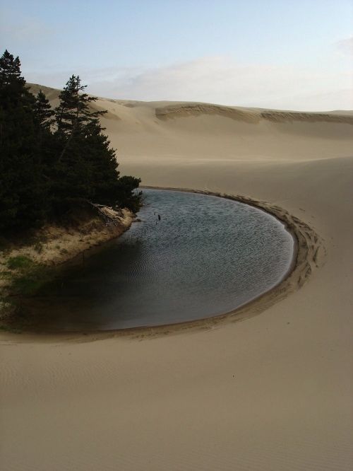 Stagnant Water Download Wallpapers