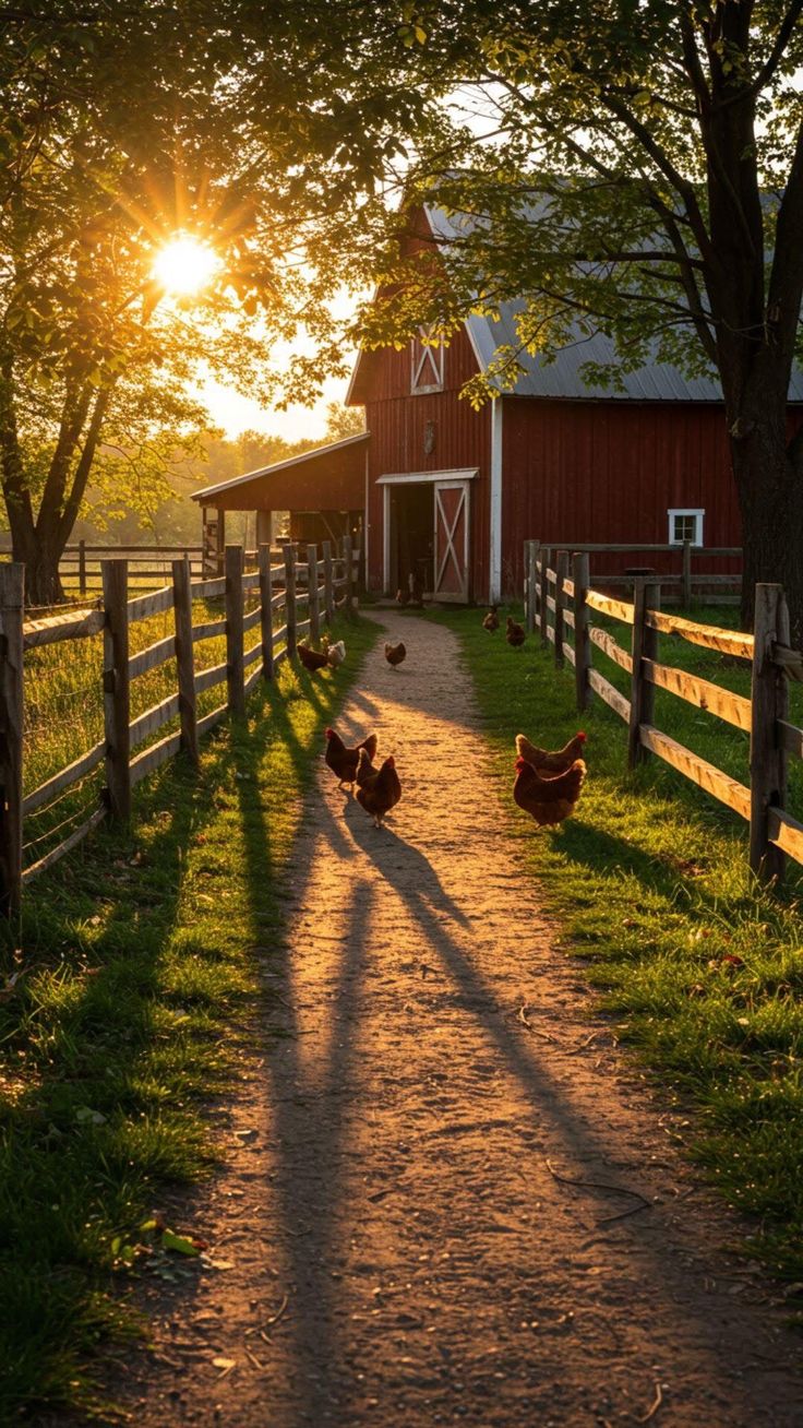 Farm House Download Wallpapers