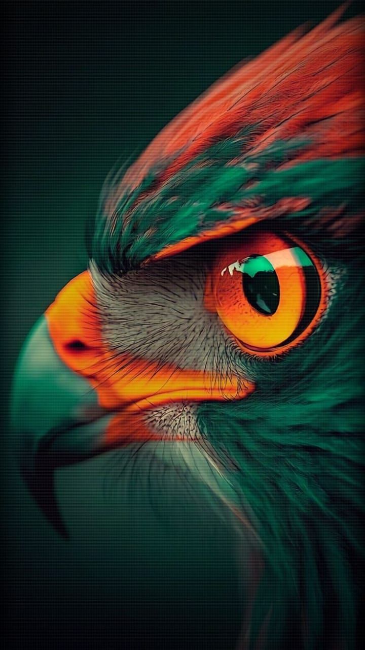 An eagle wallpaper download