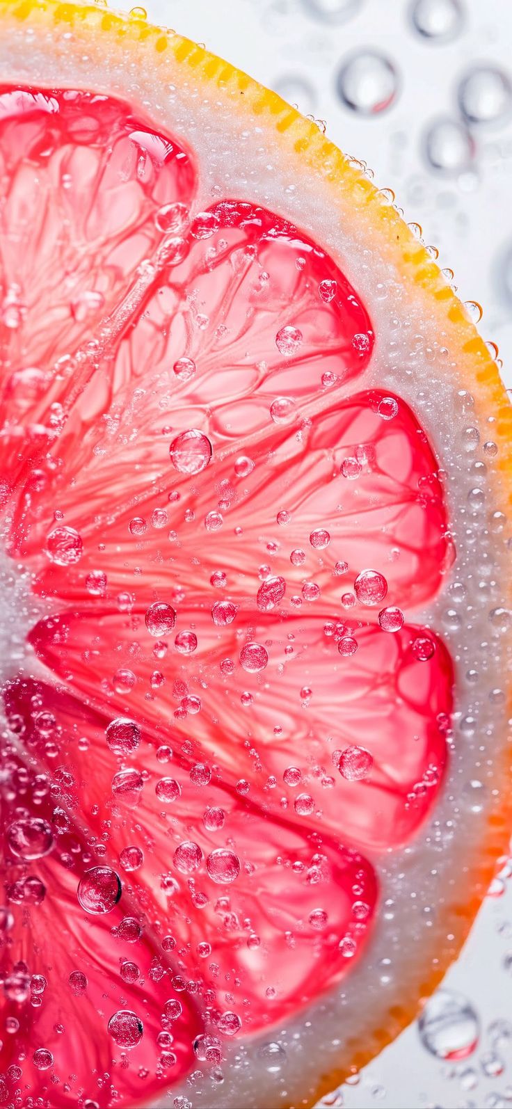 Orange slice 2025 wallpaper Download